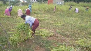20211001 Tiruvannamalai 6.28.14 PM.jpg