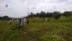 20211001 Tiruvannamalai 6.28.15 PM.jpg