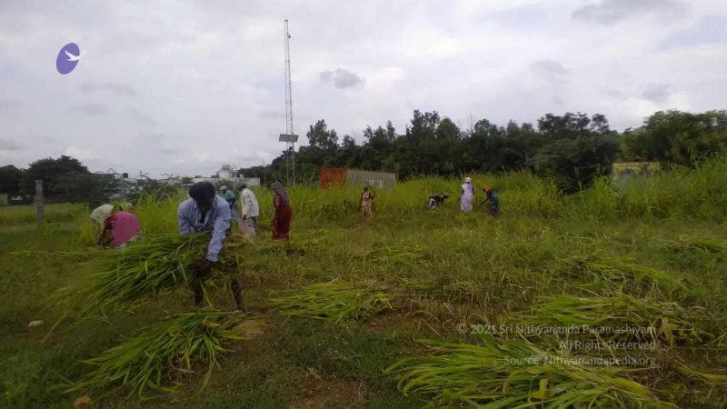 20211001 Tiruvannamalai 6.28.15 PM.jpg
