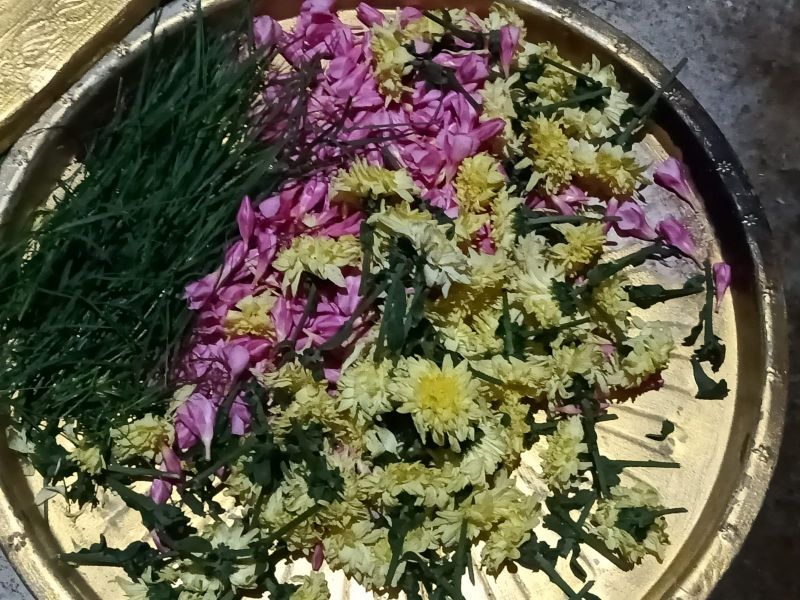 File:20211006 9.14.21 PM (1).jpeg