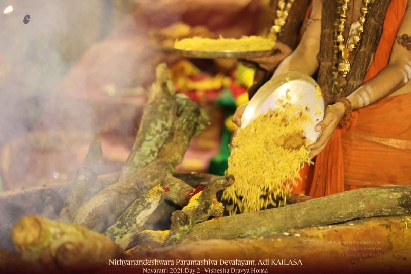 File:20211008 1054 245150183 FB.jpg