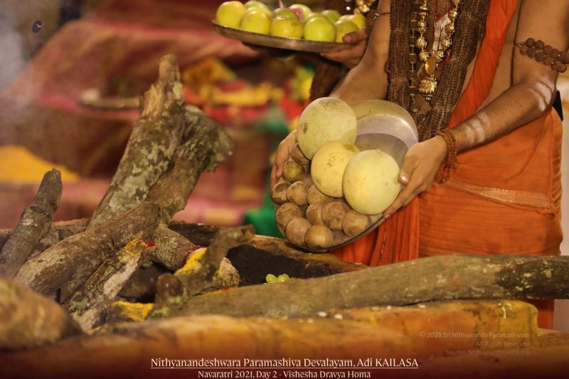 File:20211008 1072 244770219 FB.jpg