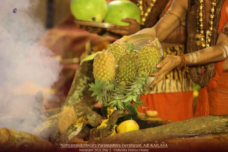 File:20211008 1079 245211839 FB.jpg