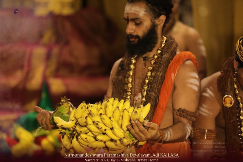 File:20211008 1081 245540883 FB.jpg