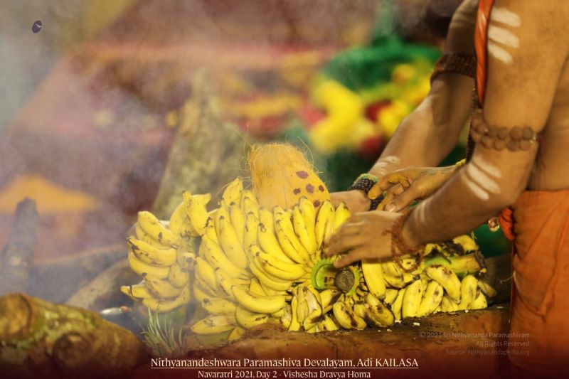 File:20211008 1084 245173958 FB.jpg