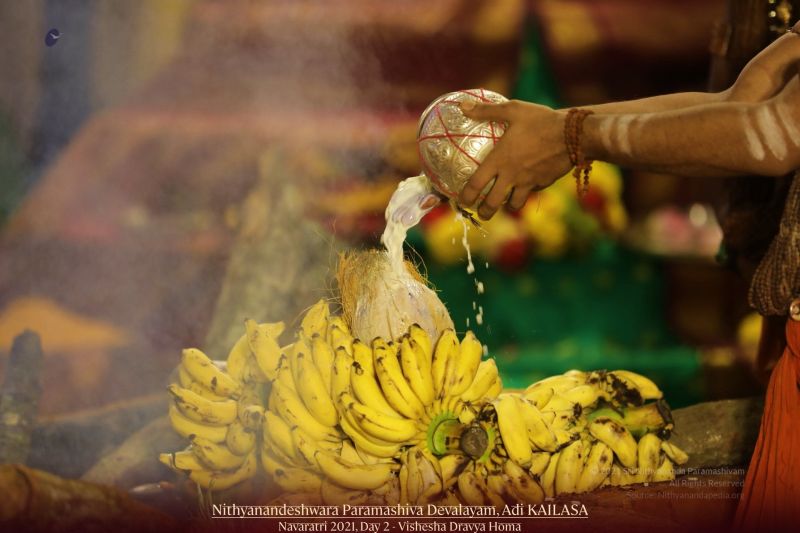 File:20211008 1087 245202601 FB.jpg