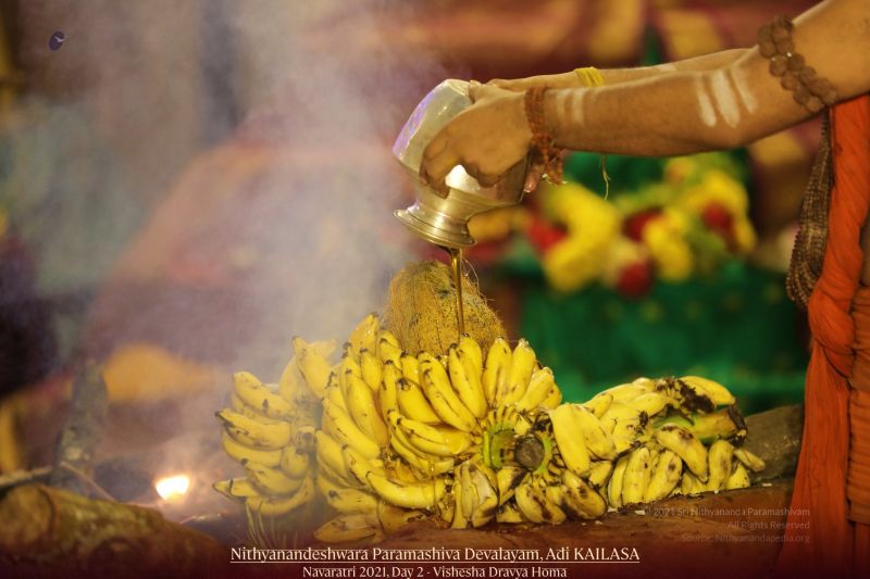 File:20211008 1093 244650928 FB.jpg