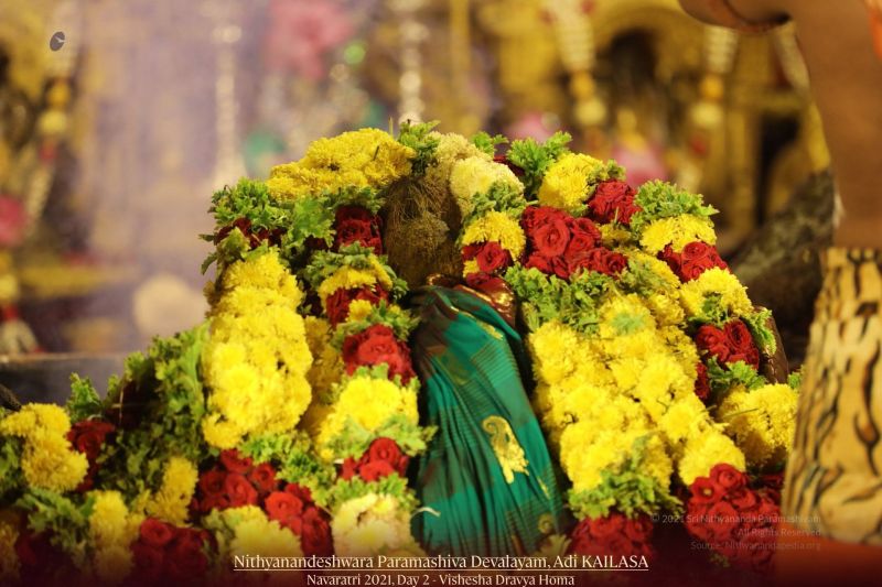 File:20211008 1095 242869199 FB.jpg