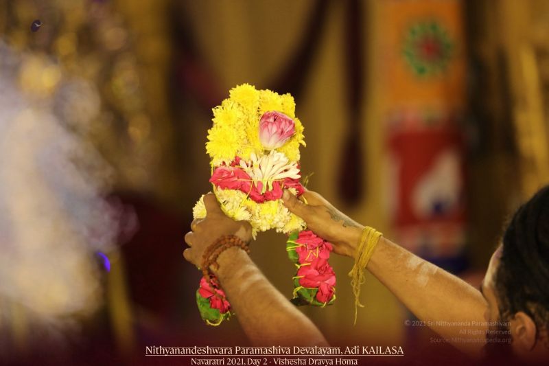 File:20211008 1096 245261252 FB.jpg