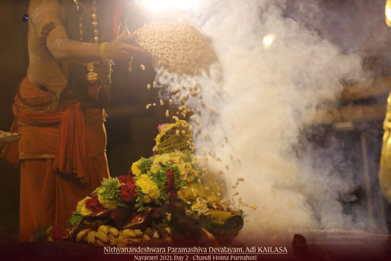 File:20211008 1112 245648269 FB.jpg