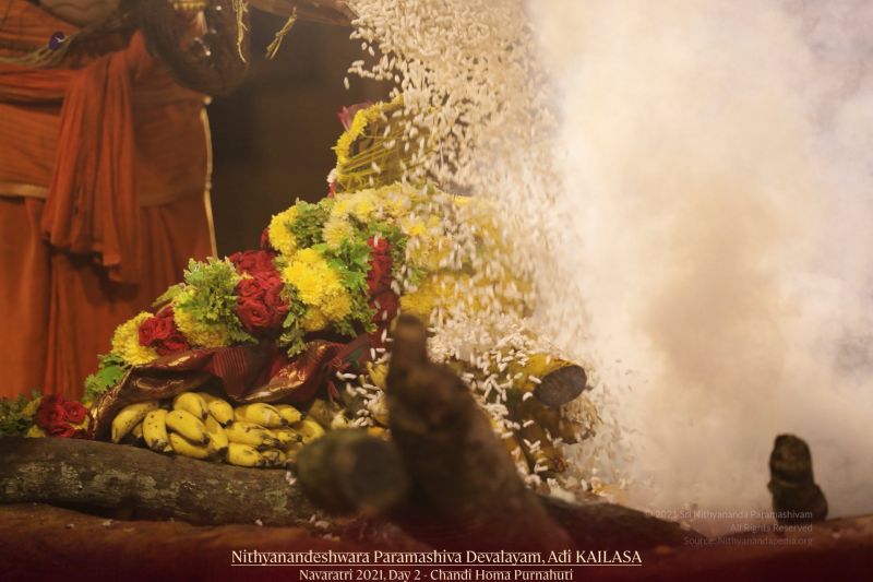 File:20211008 1117 244351484 FB.jpg