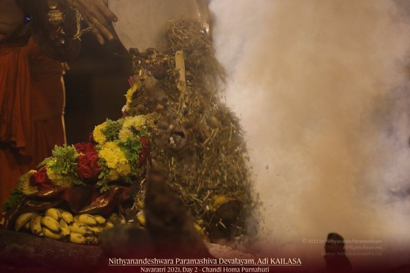 File:20211008 1118 245498518 FB.jpg