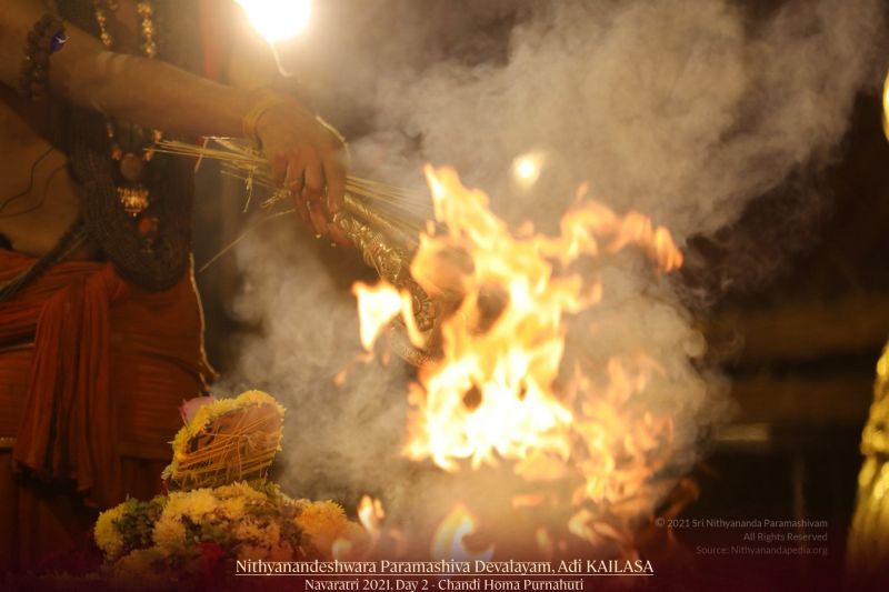 File:20211008 1126 244759566 FB.jpg