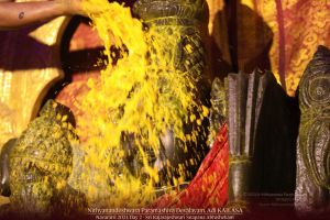 20211008 1160 244676865 FB.jpg