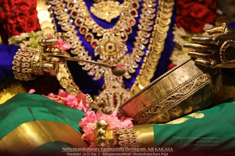 File:20211009 1043 245646832 FB.jpg