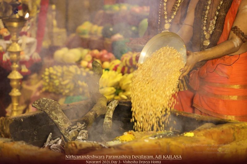 File:20211009 1086 245836952 FB.jpg