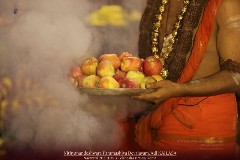 File:20211009 1102 245815727 FB.jpg