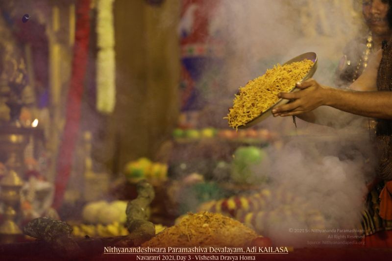 File:20211009 1112 245547361 FB.jpg