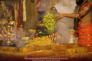 20211009 1115 245663445 FB.jpg