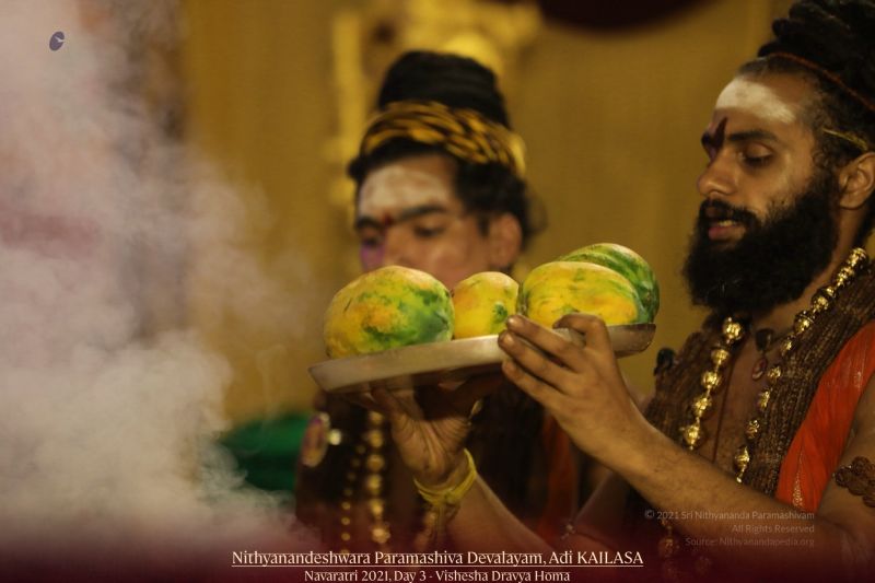 File:20211009 1123 244314457 FB.jpg