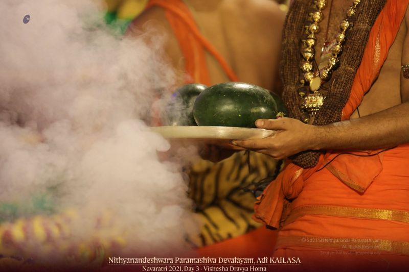 File:20211009 1128 245691608 FB.jpg