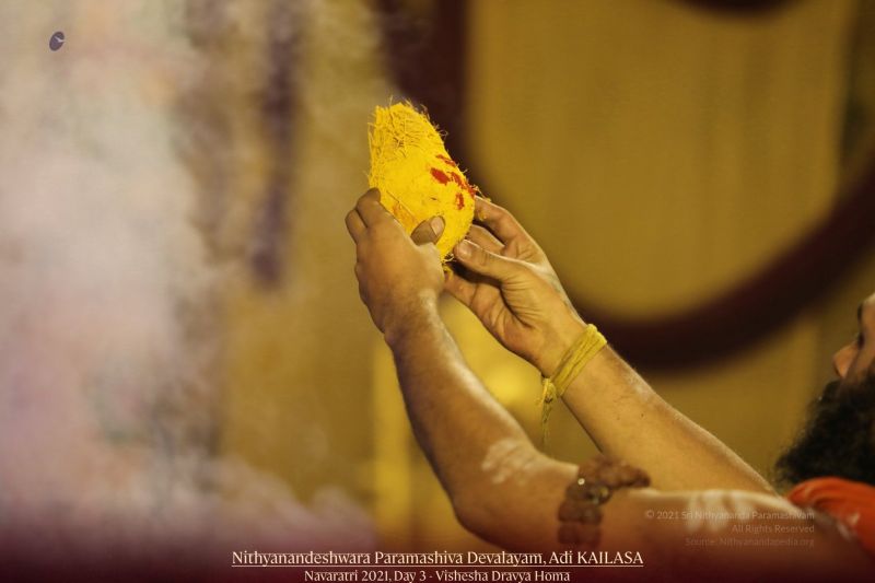 File:20211009 1132 245815728 FB.jpg