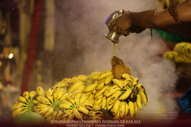 File:20211009 1136 245328405 FB.jpg