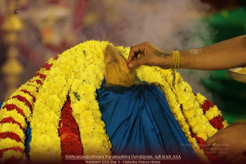 File:20211009 1138 245587995 FB.jpg