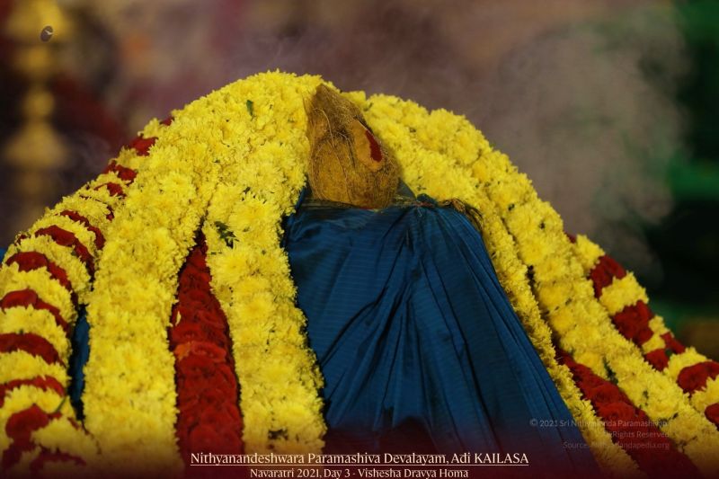 File:20211009 1139 245689475 FB.jpg