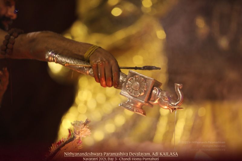 File:20211009 1159 243508087 FB.jpg