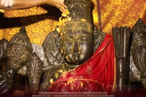 20211009 1195 245154484 FB.jpg