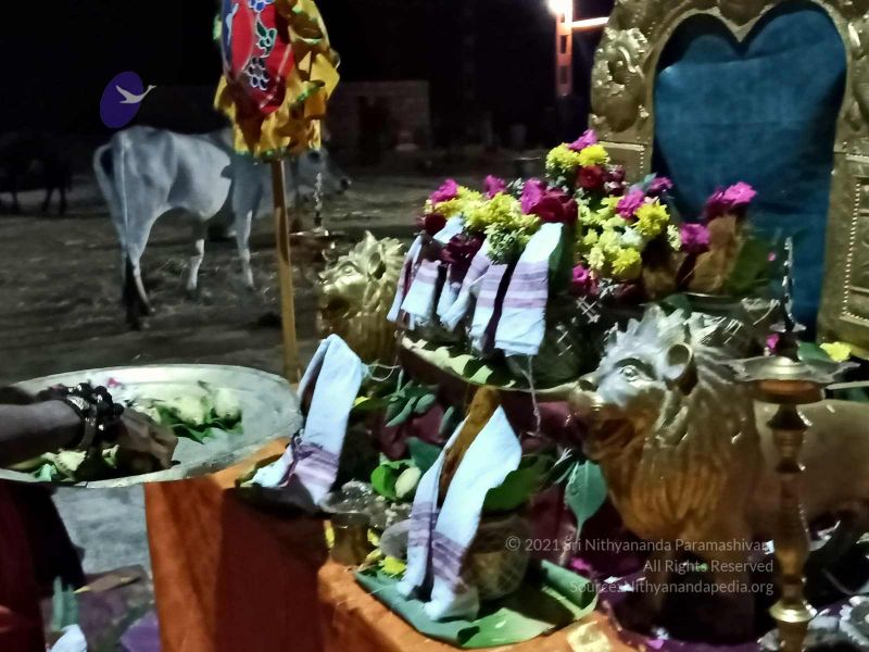 File:20211009 8.54.27 AM.jpg