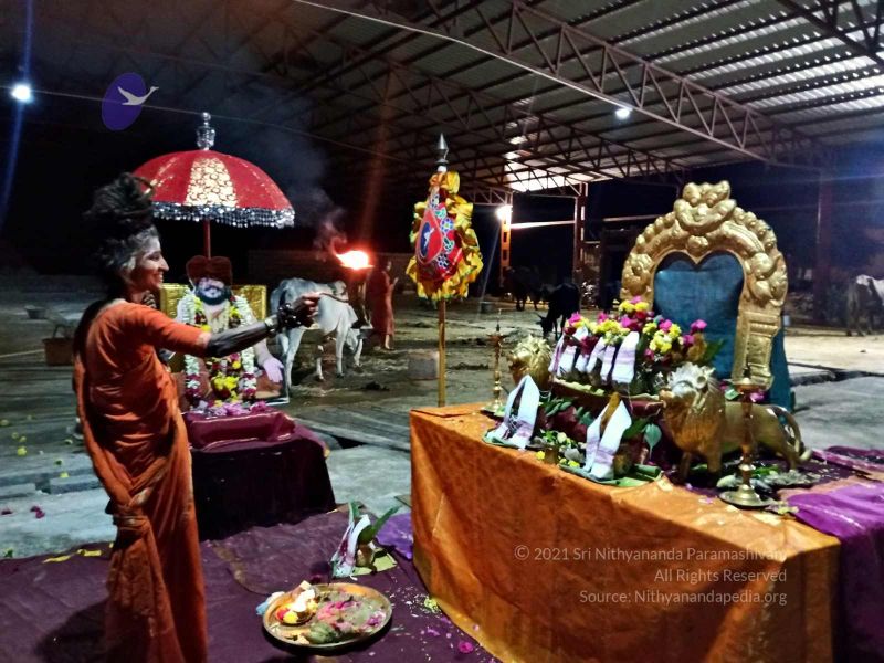 File:20211009 8.54.28 AM (1).jpg