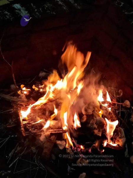 File:20211009 8.54.29 AM (3).jpg