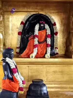 2021101010.27.18 PM (1).jpg