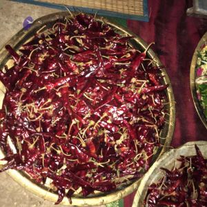 2021101012.44.51 PM (1).jpg