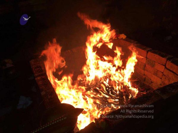 2021101012.44.51 PM (10).jpg