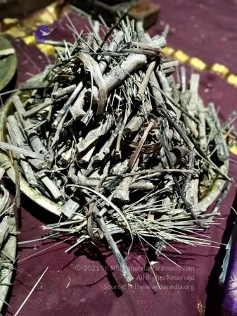 202110109.50.47 PM.jpg