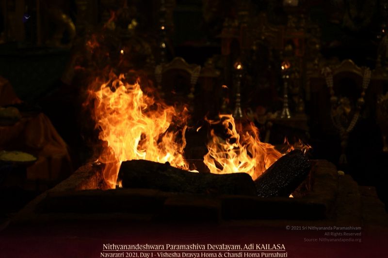 File:20211010 1030 243542810 FB.jpg