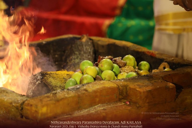 File:20211010 1067 244410744 FB.jpg