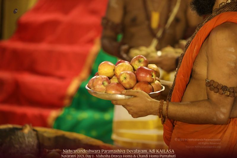 File:20211010 1068 245131137 FB.jpg