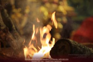 20211010 1076 245166996 FB.jpg