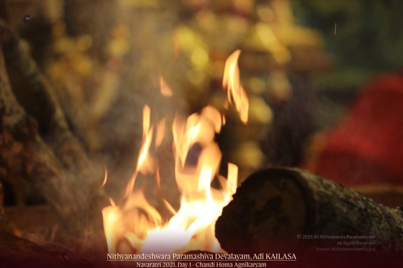 File:20211010 1076 245166996 FB.jpg