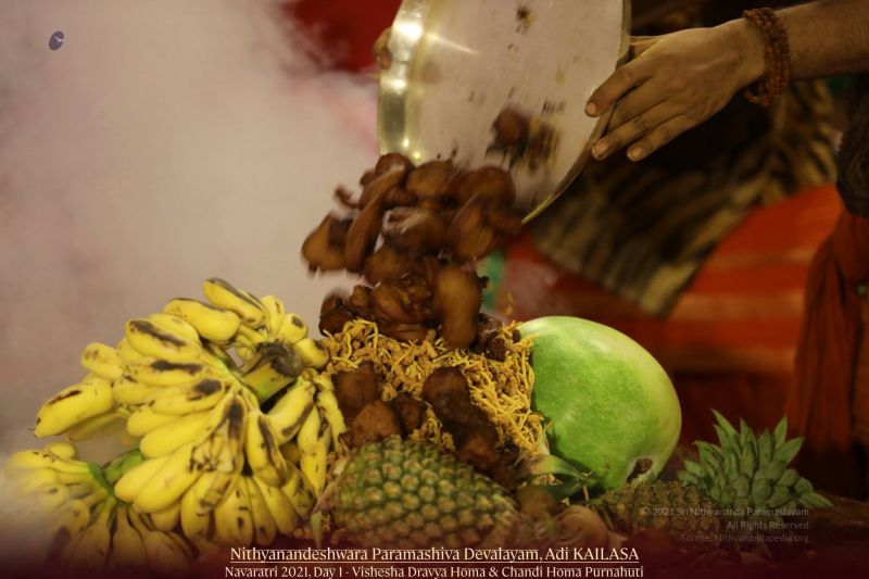 File:20211010 1102 243420811 FB.jpg