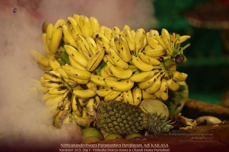 File:20211010 1113 245171545 FB.jpg