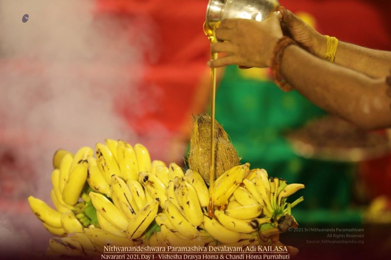 File:20211010 1121 245209175 FB.jpg