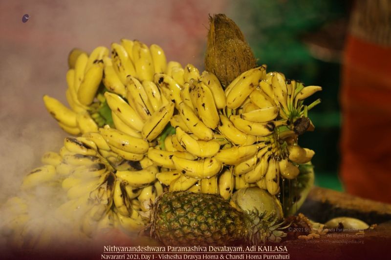 File:20211010 1123 244768993 FB.jpg