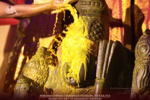 20211010 1137 245034929 FB.jpg