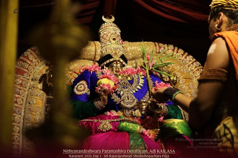 File:20211010 1150 243706858 FB.jpg