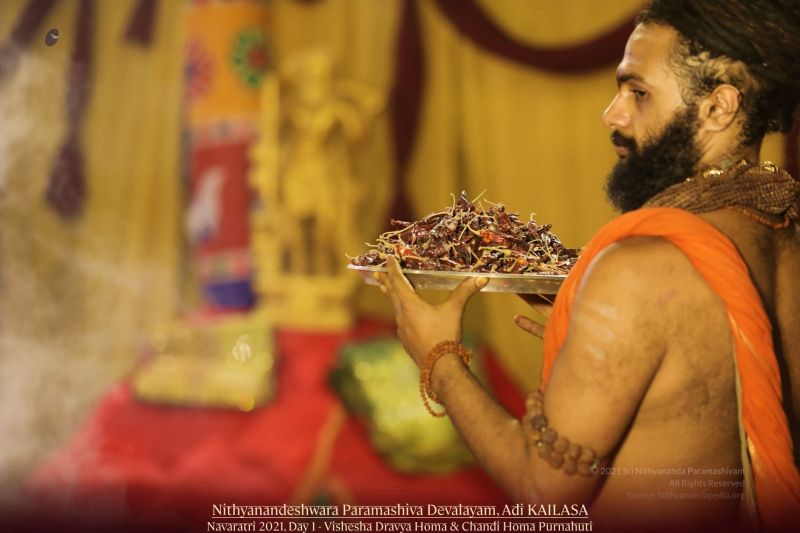 File:20211010 1158 245138845 FB.jpg